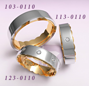 123-0110