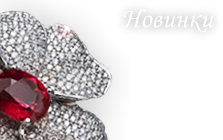 Новинки